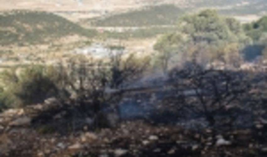 کاهش ۹۰ درصدی آتش سوزی در منابع طبیعی جنوب کرمان 