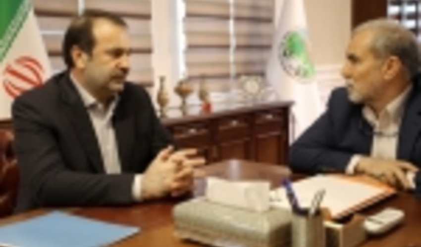 استاندار فارس با رییس سازمان جنگل ها دیدار و گفت و گو کرد