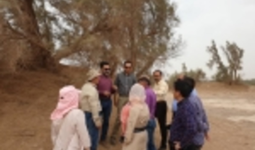 بازدید گروه تحقیقاتی چین از پروژه های مقابله با بیابان زایی کرمان