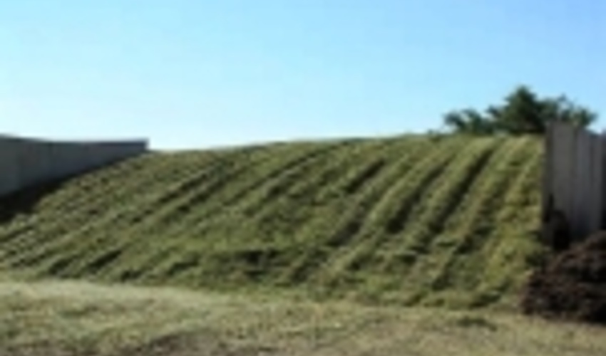 تولید علوفه در شیروان به 47 هزار تن افزایش یافت