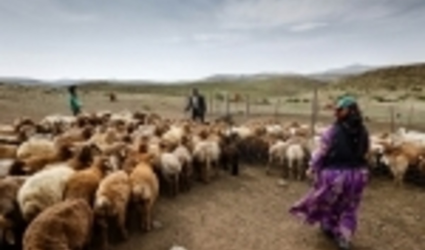  زمان حضور عشایر در مراتع جنوب ورامین تمام شد