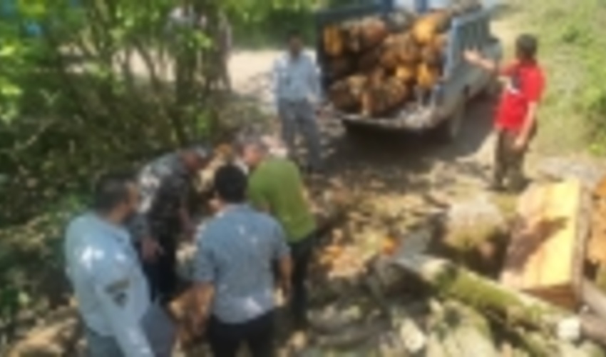 کشف و ضبط چوب آلات قاچاق از مخفیگاه متخلفین در عباس آباد 