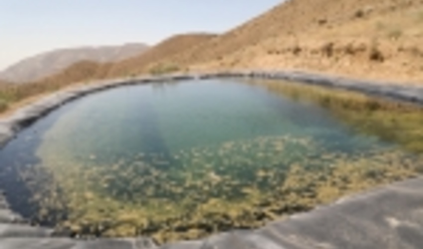 بازدید از طرح الگویی آبخیزداری در منطقه وردیج تهران 