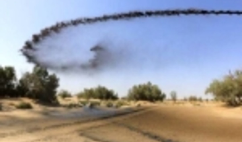 2هزار هکتار ماسه های روان جنوب کرمان مالچ پاشی می شود 