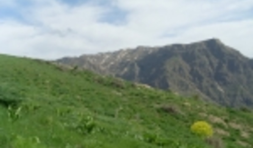 در بیش از یک میلیون و 300 هزار هکتار از مراتع هرمزگان طرح مرتعداری اجرا شده است