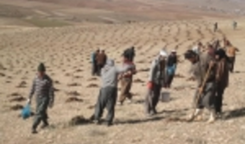 Government Pave the Way for the Further Involvement of Local Communities in Natural Resources Management