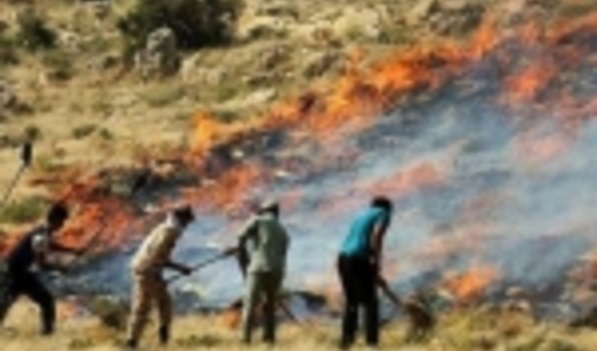 حریق  در جنگل ها و مراتع بهبهان مهار شد/ نیروهای حفاظتی در منطقه حضور دارند