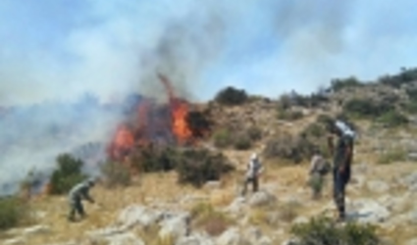 حفاظت از عرصه های طبیعی در مقابل آتش سوزی یک وظیفه ملی 