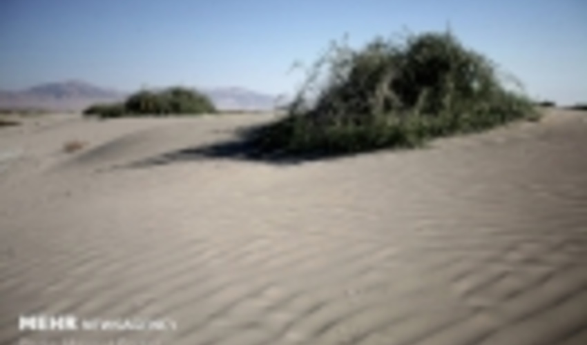 عملیات مهار شن‌های روان در ایستگاه کویر گرمسار اجرا می‌شود