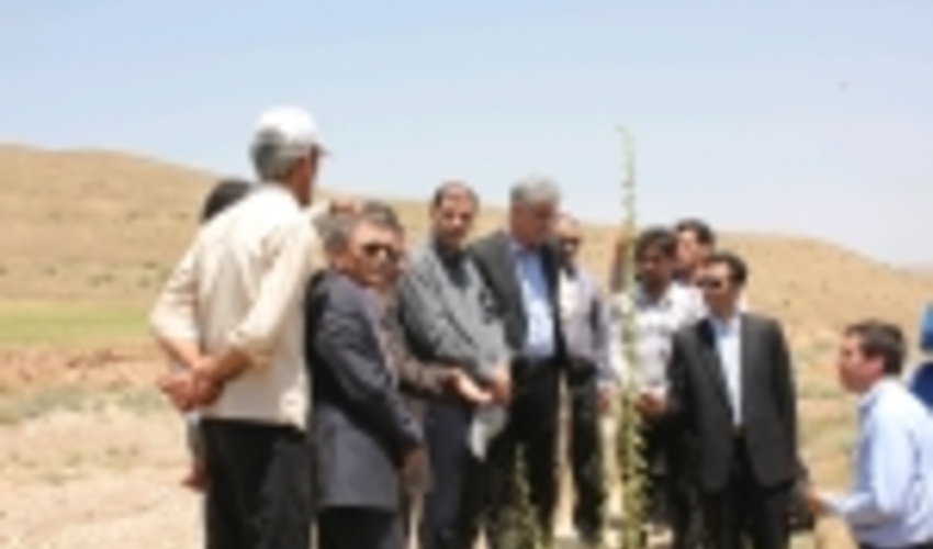 بازدید کارشناسان سازمان جنگل ها از پروژه های الگویی استان زنجان/ رضایت مندی مردم از طرح های آبخیزداری  