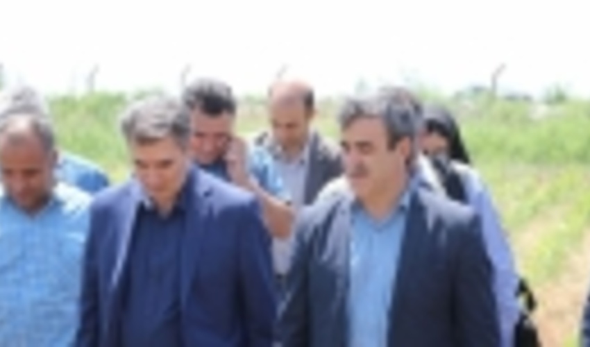 تولید بیش از ۲ میلیون اصله نهال در ایستگاه تولید بذر و نهال مغان