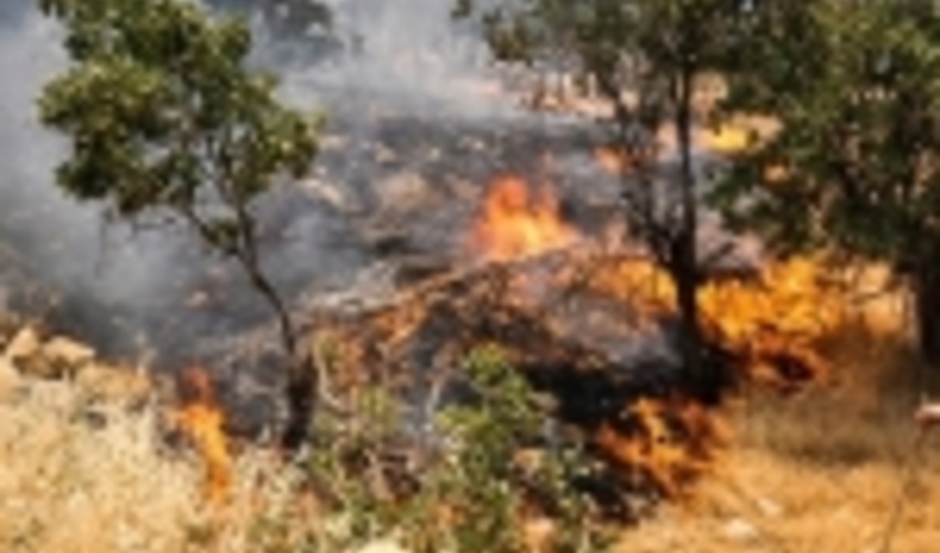 شناسایی ۱۵۰مکان مستعد آتش سوزی در لرستان 