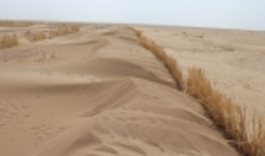 اجرای ۶۰ هکتار بادشکن غیر زنده در کویر میقان اراک مصوب شد