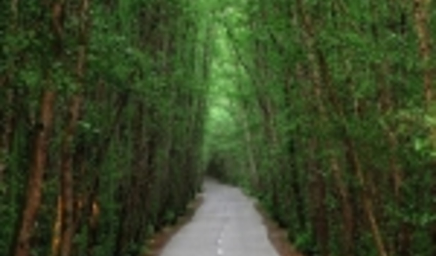 Forest Futures: Sustainable pathways for forests, landscapes and people in the Asia-Pacific region