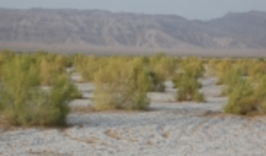 اصفهان/مهار ریزگردها نیازمند مدیریت یکپارچه حوضه‌های آبریز کویر مرکزی است