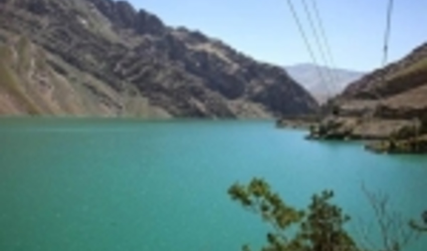 ۲۰۰ هکتار از اراضی سد امیرکبیر کرج جنگل کاری می‌شود