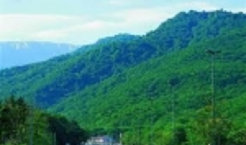 اجرای طرح تنفس، راه نجات جنگل های هیرکانی 