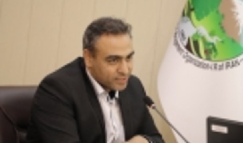 مجری توسعه زراعت چوب منصوب شد