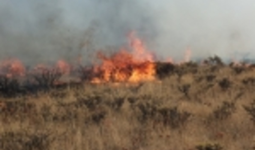 امسال ۴۰۰ هکتار از مراتع و جنگل‌های البرز دچار حریق شده است