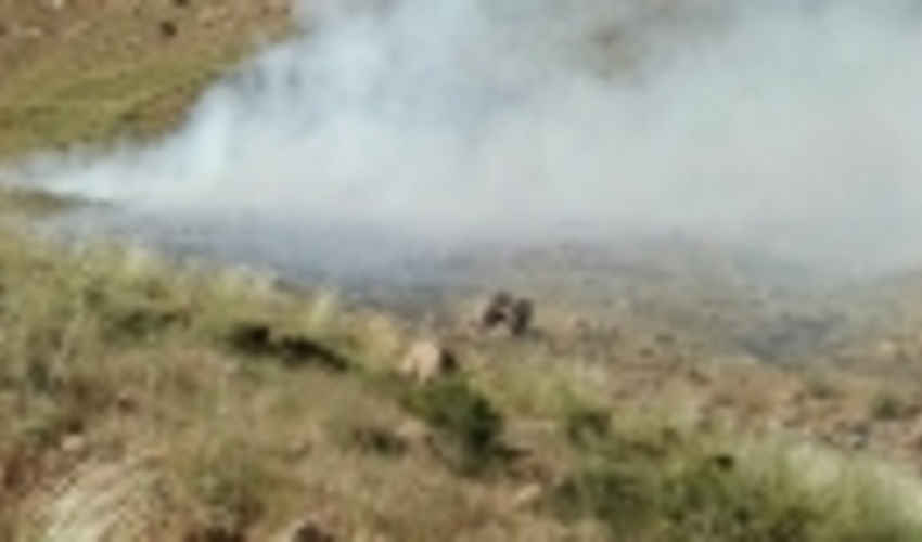 اجرای طرح «آتش بُر» در سطح 2000 هکتار از مراتع کوه خواجه