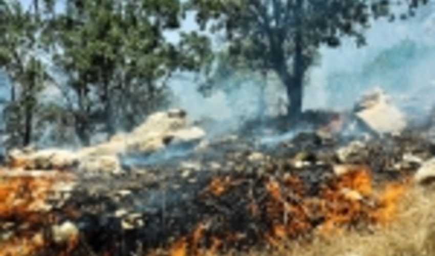 سهل انگاری وبی توجهی عامل آتش سوزی 45هکتار از مراتع استان همدان