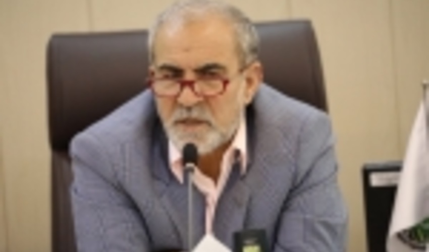 جنگل، بدون برداشت چوب باید روی پای خودش بایستد