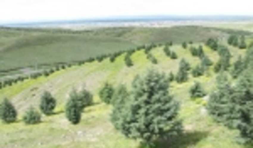 تخصیص اعتبار یک میلیاردی جهت تقویت مراتع گیلان