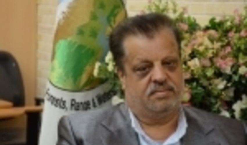 ۷۰ تن چوب قاچاق در شهرستان شاهرود کشف شد