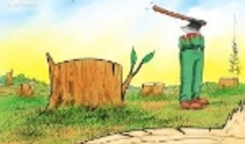 به مناسبت روز جهانی جنگل‌بان/صدای عاشقان طبیعت را بشنویم