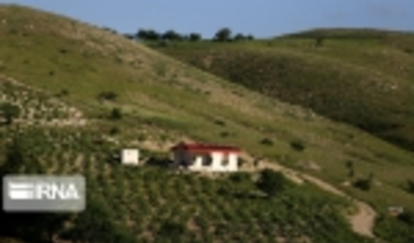 متخلفان ۱۰۶ هکتار اراضی ملی سنندج را تخریب کردند