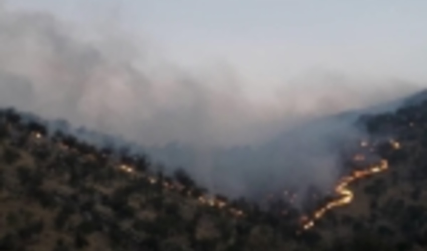 آتش سوزي گسترده ارتفاعات جنگلي كازرون و كهمره سرخي شيراز مهار شد