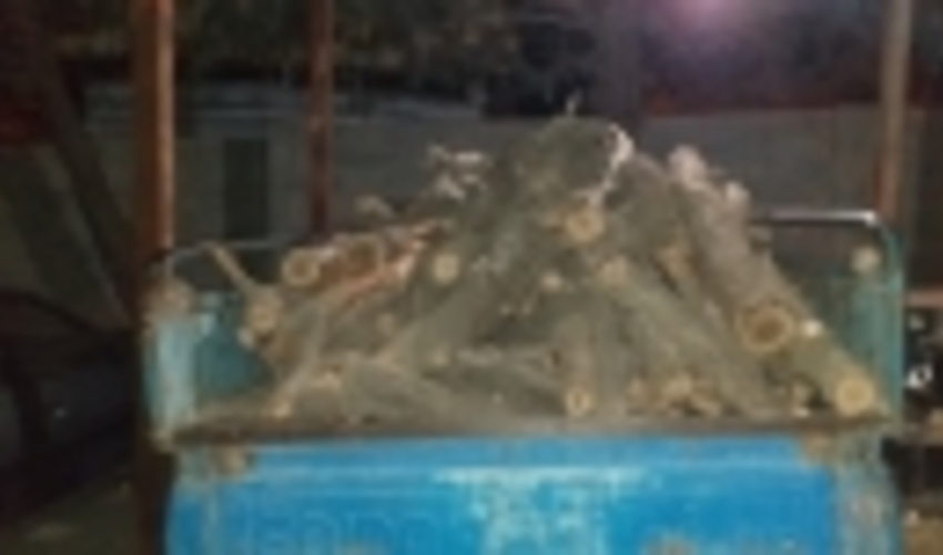 کشف ۲ تن هیزم قاچاق در شهرستان دنا