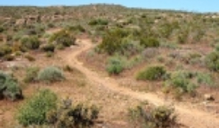 بیش از یک میلیارد تومان برای پروژه‌های بیابانزدایی نهبندان هزینه شد