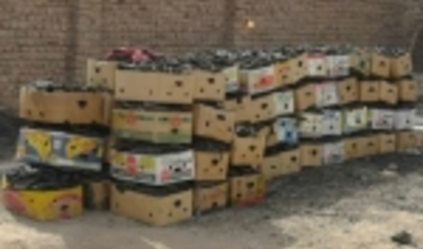  کشف و ضبط 120کارتن زغال و هیزم قاچاق در زاهدان