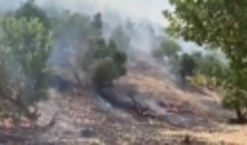 50 هکتار از اراضی ملی پاوه در آتش سوخت