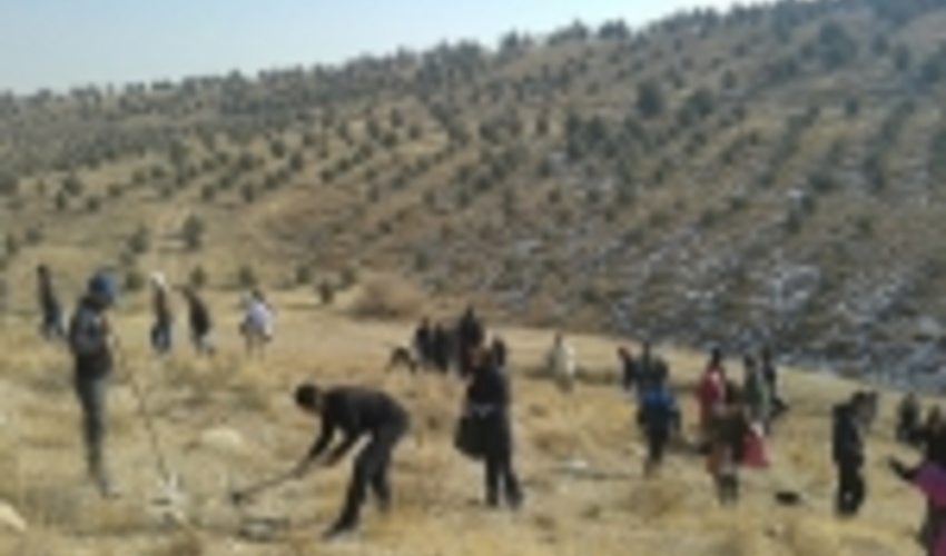 ۲۰ تشکل حفاظت از منابع طبیعی سمنان در حال ثبت است