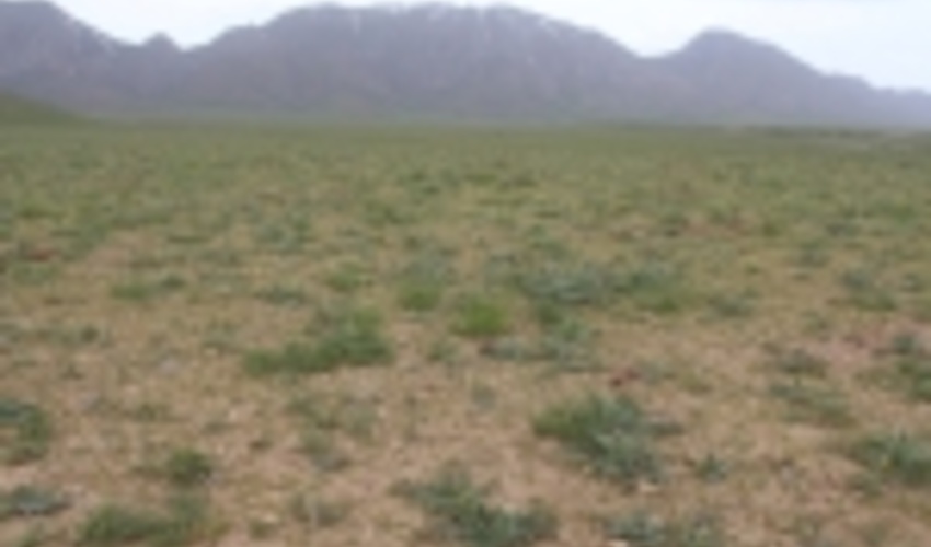 اجرای پروژه ممیزی مراتع در 56 هزار هکتار اراضی استان مرکزی