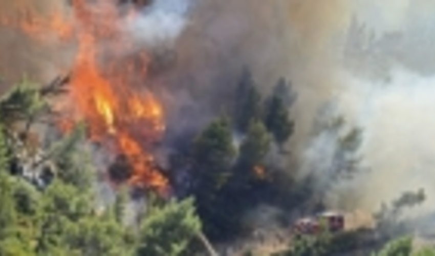 جنگل های فرانسه همچنان در آتش می سوزند