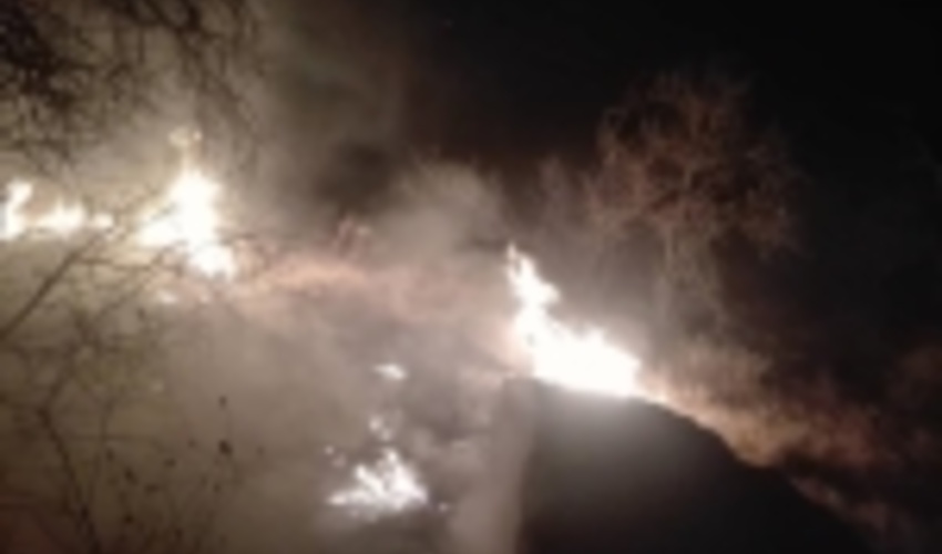 آتش سوزی ارتفاعات بوان شهرستان ممسنی مهار شد