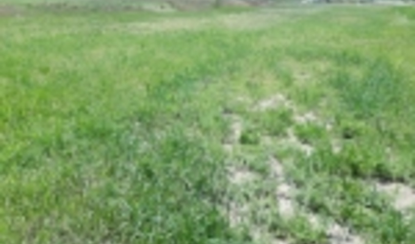 يك قطعه زمين به ارزش 110 ميليارد ريال در رامسر بازپس گرفته شد 