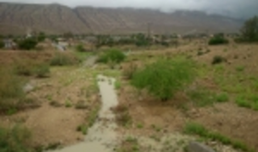 بررسی و رفع مشکلات ممیزی مراتع شهرستان بندرخمیر