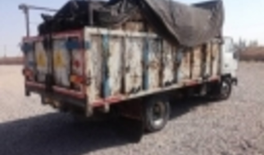 کامیون حامل دو تن زغال چوب قاچاق توسط یگان حفاظت شهرستان انار توقیف شد