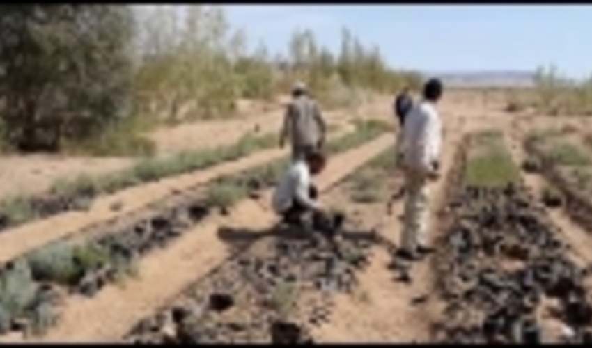 اجرای چهار طرح آبخیزداری در شهرستان خوروبیابانک 