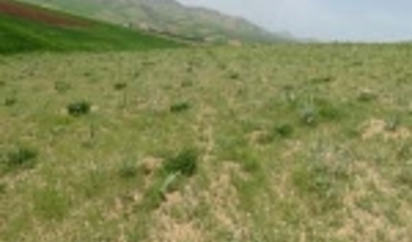 هرمزگان / پایان 3 پروژه بخش مرتع از محل صندوق توسعه ملی 