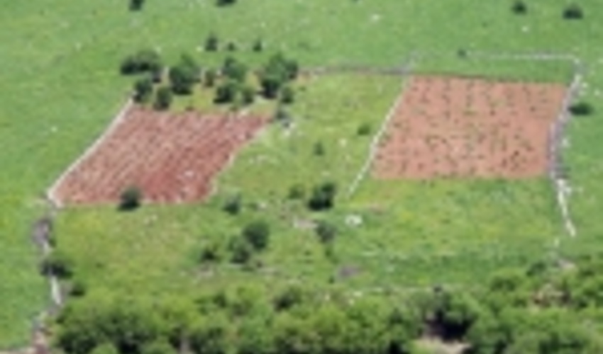 کمربند سبز ۵۲ کیلومتر از اراضی استان فارس را حفاظت می‌کند