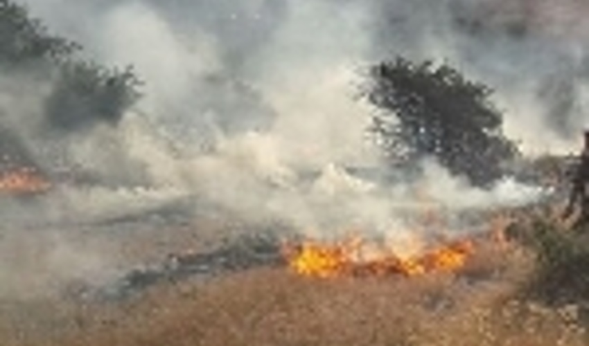 وقوع آتش‌سوزی در منطقه سرخ دره جنگل ابر/ ۳ اکیپ امدادی اعزام شدند