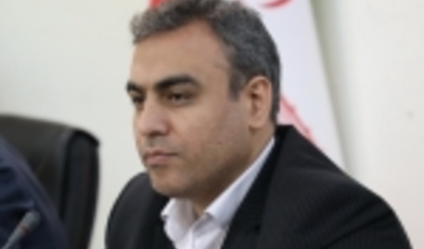 مجری توسعه زراعت چوب: مکلف به زراعت چوب در ۷۵ هزار هکتار از اراضی کشور هستیم