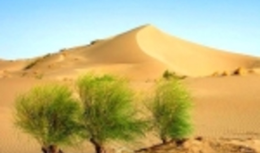 26 میلیون هکتار از مناطق بیابانی کشور تحت تاثیر فرسایش بادی قرار دارد