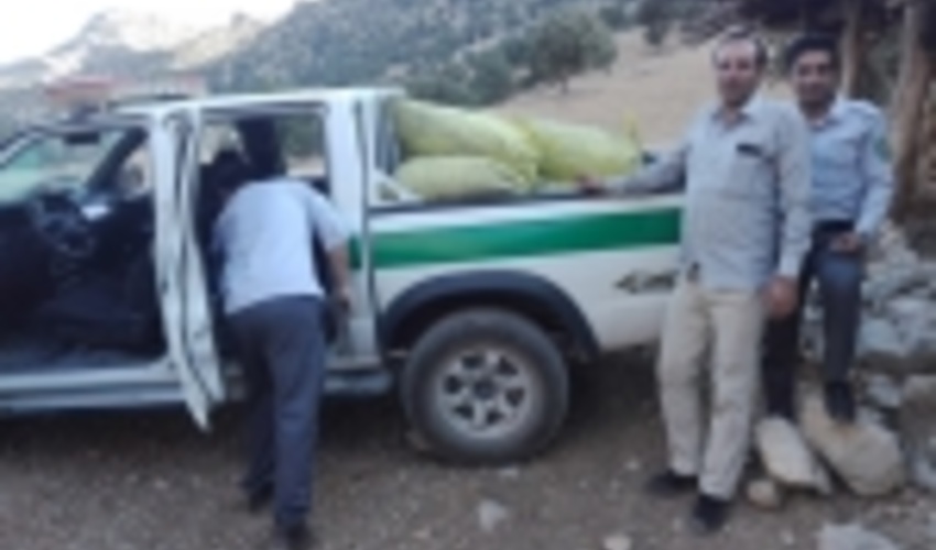کشف و ضبط 160 کیلوگرم ذغال جنگلی در شهرستان رستم