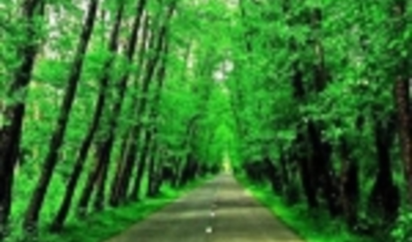 ذخیره گاه سفیدپلت آستانه در فهرست آثار طبیعی ملی ایران به ثبت رسید